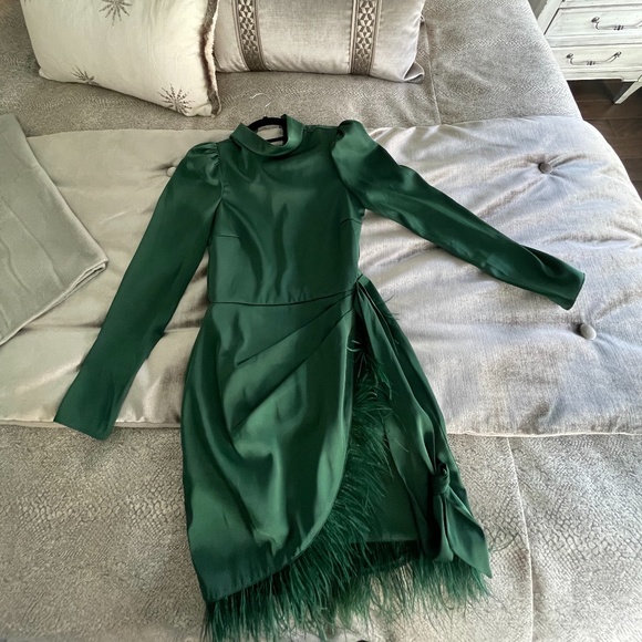 Saylor - Picture 2 of 2